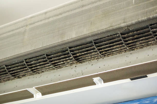 Best Duct Cleaning Specialists  in New Deal, TX